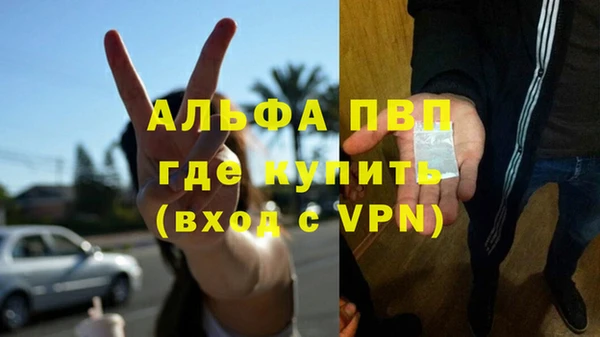 шишки Кукмор