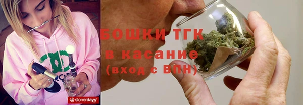 шишки Кукмор