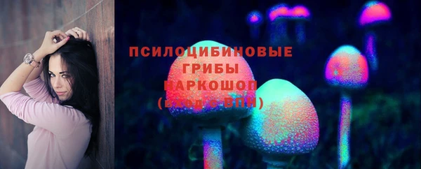 бошки Кулебаки
