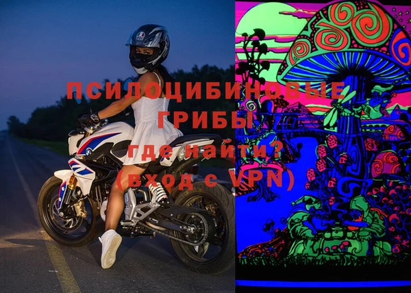 шишки Кукмор