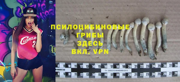 шишки Кукмор