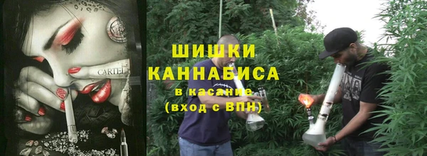 шишки Кукмор
