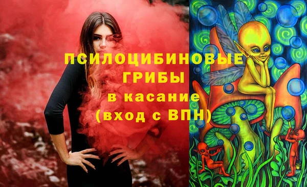 МДМА Лабытнанги