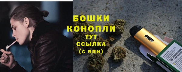 гидра Лагань