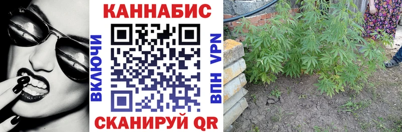 Конопля AK-47  Купить  Киреевск 